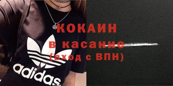 ECSTASY Аша